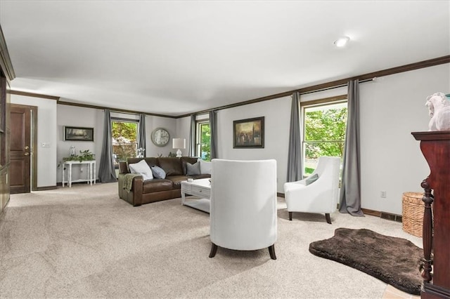 601 Darrow St, Warrensburg, MO 64093 - living area featuring crown molding and carpet floors