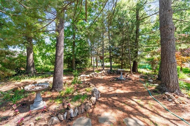 601 Darrow St, Warrensburg, MO 64093 - view of yard