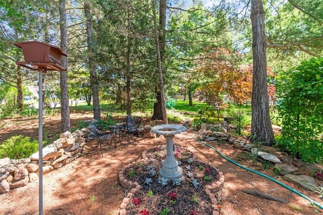 601 Darrow St, Warrensburg, MO 64093 - view of yard