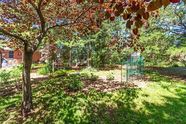 601 Darrow St, Warrensburg, MO 64093 - view of yard