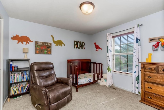 488 S 137th Pl, Bonner Springs, KS 66012 - photo 21