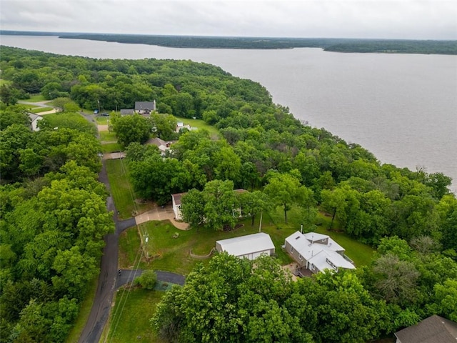 8231 Mike O Vince Rd, Ozawkie, KS 66070 - bird's eye view of a nearby body of water and a forest