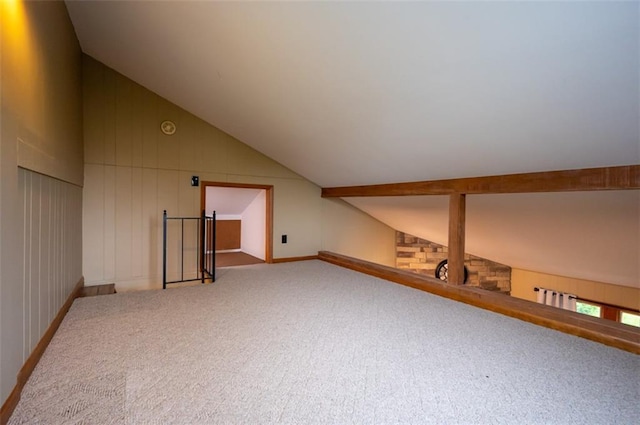 8231 Mike O Vince Rd, Ozawkie, KS 66070 - additional living space featuring carpet floors and lofted ceiling
