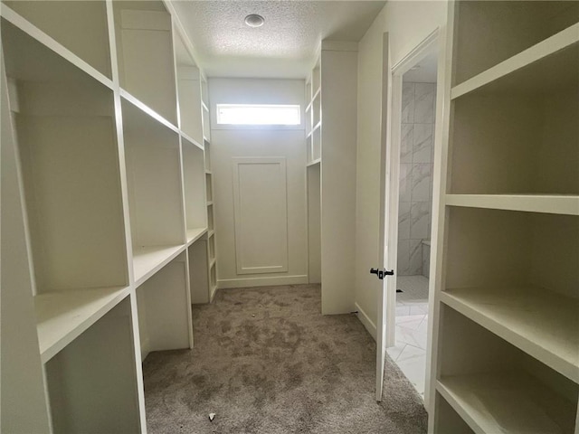 1715 SW Arbor Park Dr, Lees Summit, MO 64082 - photo 15