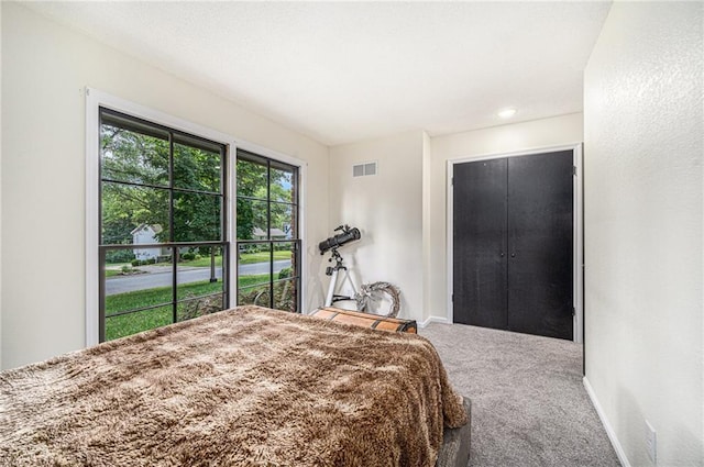 12419 Askew Dr, Grandview, MO 64030 - bedroom with carpet flooring and baseboards