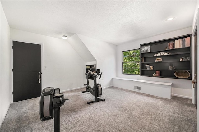 12419 Askew Dr, Grandview, MO 64030 - workout area featuring a textured ceiling and carpet