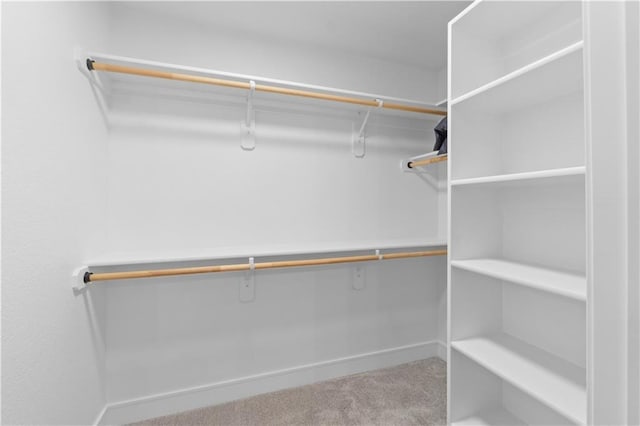 23717 W 118th Ter, Olathe, KS 66061 - walk in closet with carpet flooring