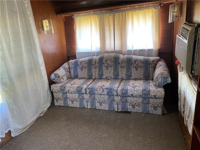 39055 Railroad Ave, Osawatomie, KS 66064 - living room with carpet floors