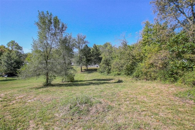 8413 Sterling Ave, Raytown, MO 64138 - photo 34