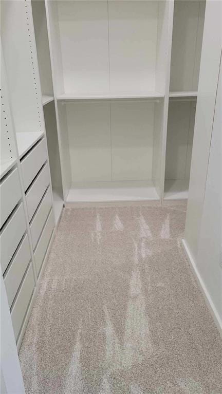 104 Lakeshore Dr, Kimberling City, MO 65686 - view of walk in closet