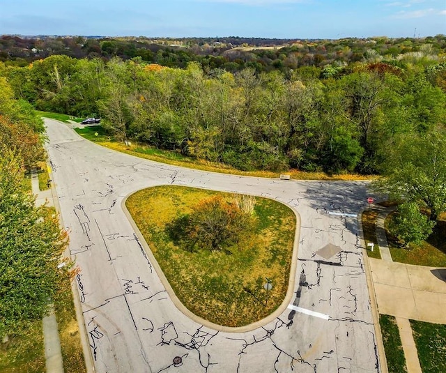 5575 NW Heritage Hill Rd, Parkville, MO 64152 - photo 4