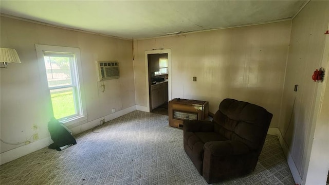 620 S Pennsylvania Ave, Columbus, KS 66725 - photo 4