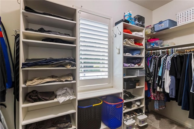 16369 S Woodstone Dr, Olathe, KS 66062 - spacious closet with carpet flooring
