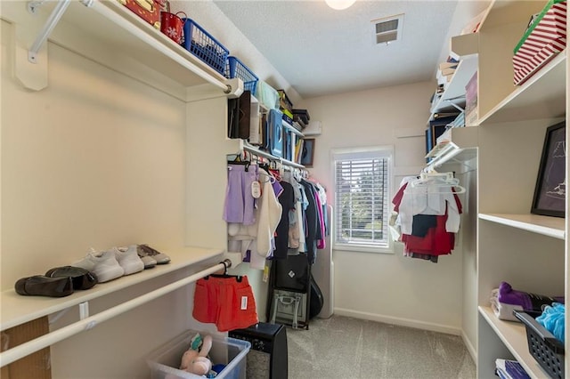 16369 S Woodstone Dr, Olathe, KS 66062 - spacious closet featuring carpet floors