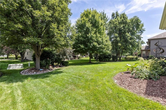 16369 S Woodstone Dr, Olathe, KS 66062 - view of green lawn