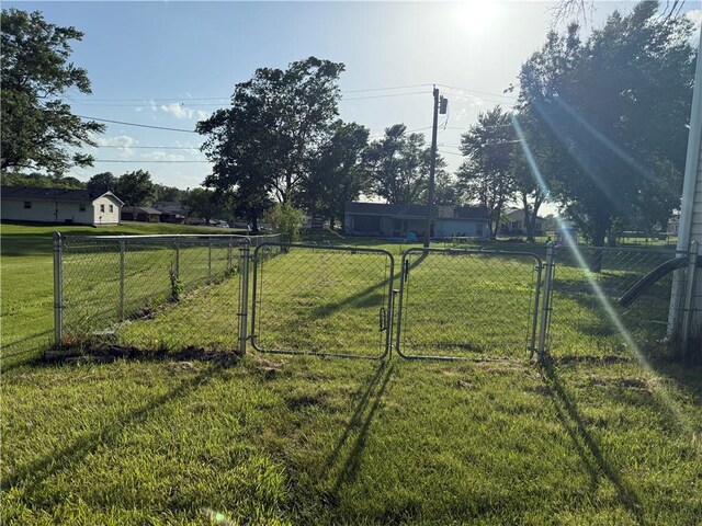 913 N Pine St, Cameron, MO 64429 - view of yard featuring a gate