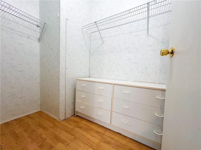 122 Fairway Dr, Mound City, KS 66056 - spacious closet with light wood finished floors