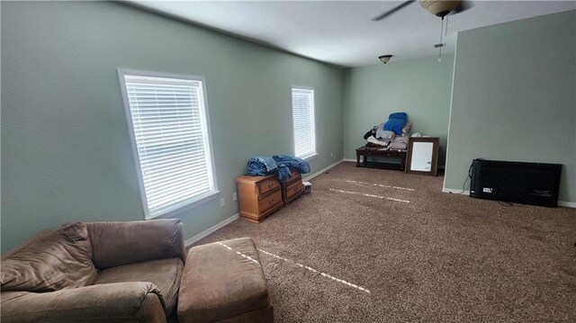 215 Countryview Dr, Pittsburg, KS 66762 - photo 27