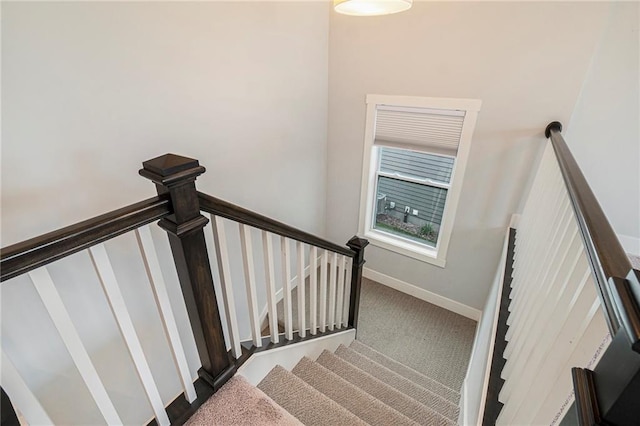 14446 Houston St, Olathe, KS 66061 - stairway featuring carpet flooring and baseboards