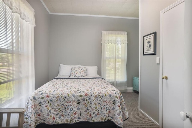 311 E Mary St, Yates Center, KS 66783 - bedroom featuring ornamental molding, multiple windows, and carpet