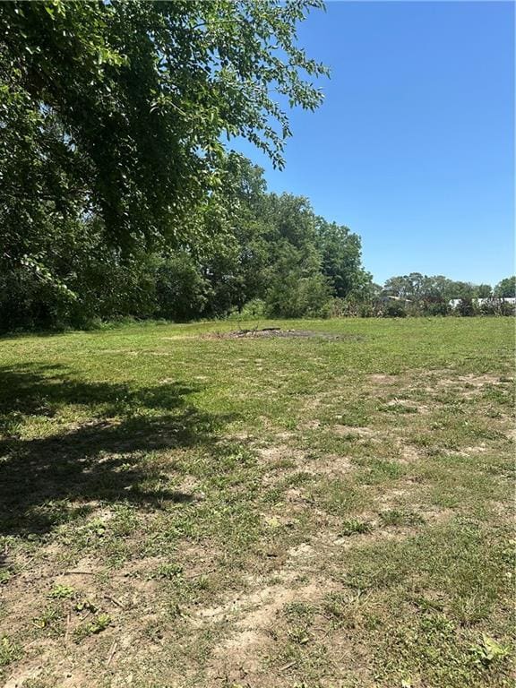 317 Chrissenger St, Burlington Junction, MO 64428 - view of green lawn