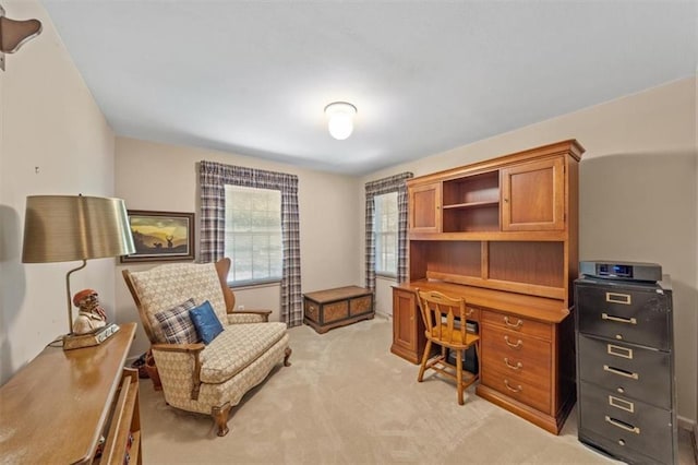 5211 W 79th Ter, Prairie Village, KS 66208 - office area featuring light carpet