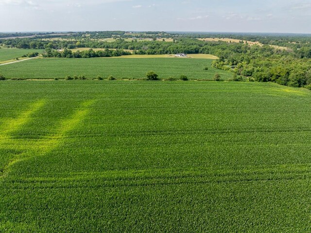 S Staley Mound Rd, Garden City, MO 64747 - photo 11
