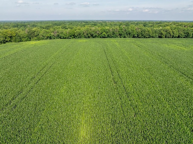 S Staley Mound Rd, Garden City, MO 64747 - photo 15