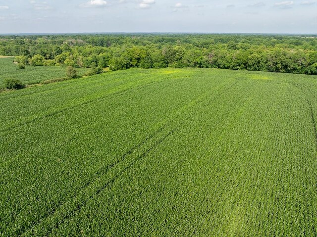 S Staley Mound Rd, Garden City, MO 64747 - photo 16