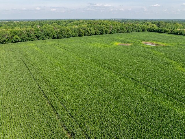 S Staley Mound Rd, Garden City, MO 64747 - photo 17