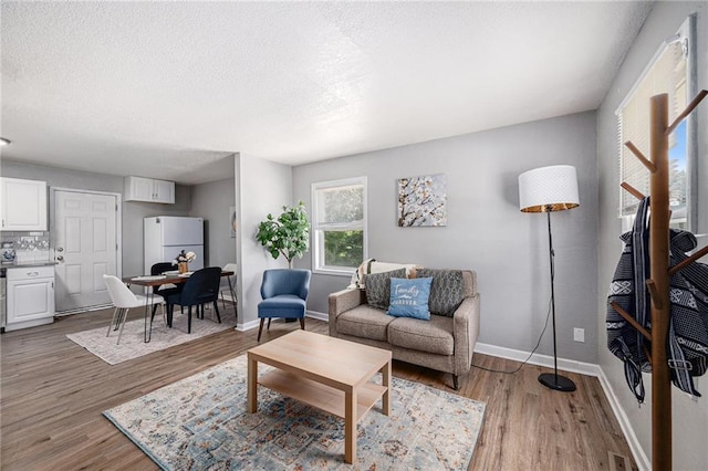 5117 Palmer Dr, Kansas City, MO 64129 - living area with light wood-style floors and a textured ceiling
