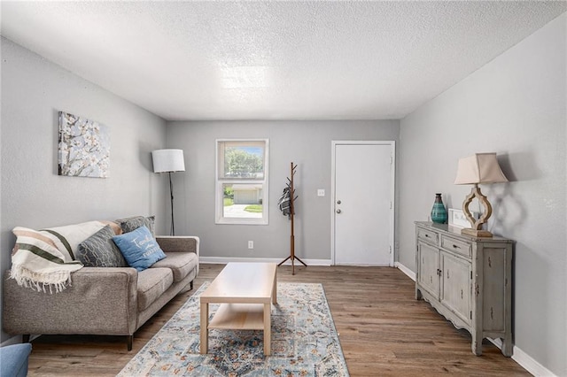 5117 Palmer Dr, Kansas City, MO 64129 - living room featuring wood finished floors and a textured ceiling