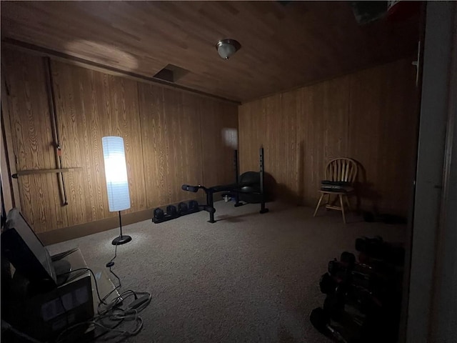 1423 Hickory St, Atchison, KS 66002 - exercise room with wood ceiling, wood walls, and carpet floors
