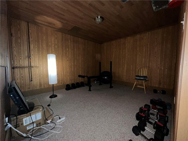 1423 Hickory St, Atchison, KS 66002 - miscellaneous room featuring wooden ceiling, wooden walls, and carpet