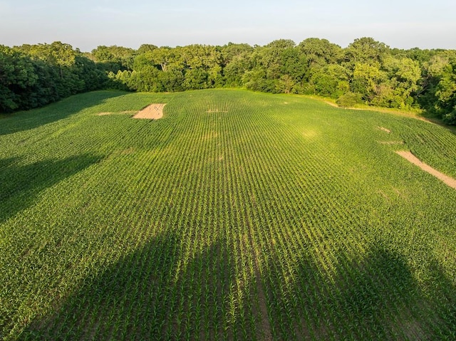 753 SW County Road T Rd, Holden, MO 64040