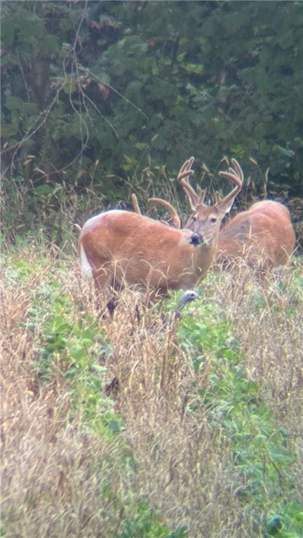 753 SW County Road T Rd, Holden, MO 64040