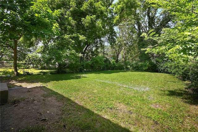 5236 Woodland Ave, Kansas City, MO 64110 - view of green lawn