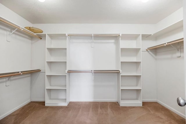 16211 S Locust St, Olathe, KS 66062 - spacious closet with carpet flooring