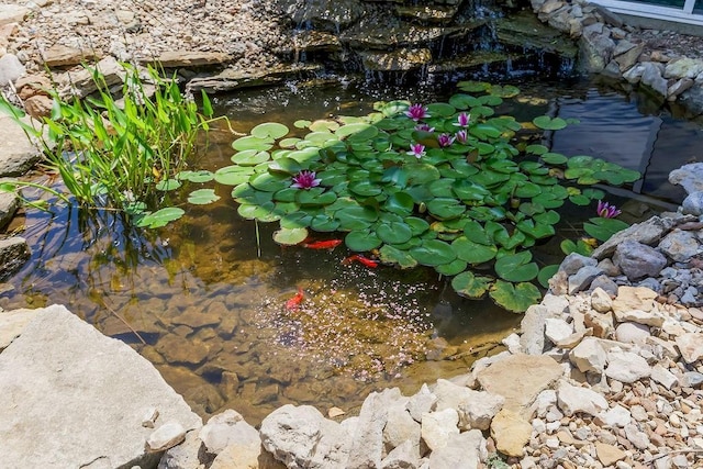 16211 S Locust St, Olathe, KS 66062 - exterior view of a garden pond