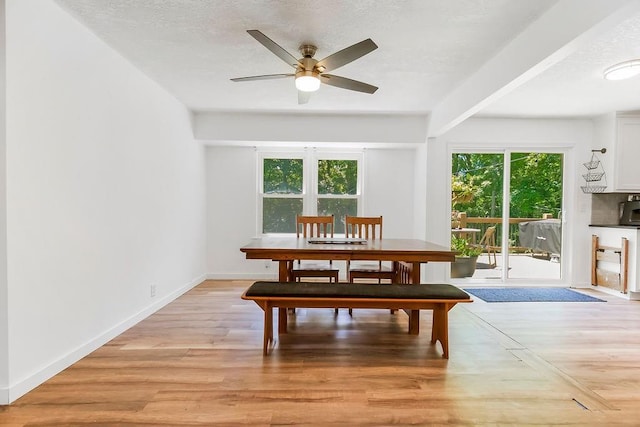6006 NW Westwood Ln, Kansas City, MO 64151 - photo 10