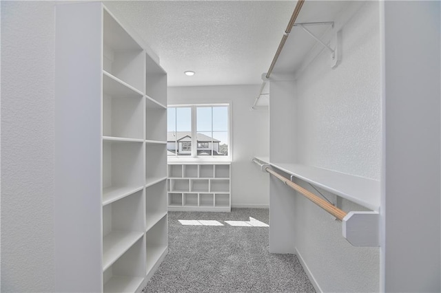 6108 Lewis Dr, Shawnee, KS 66226 - walk in closet with carpet floors
