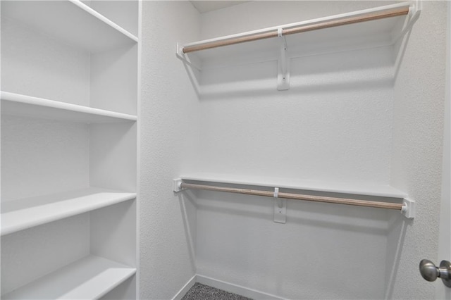 6118 Lewis Dr, Shawnee, KS 66226 - view of walk in closet