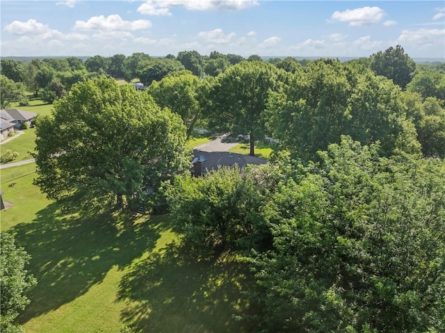 32204 Apple Hill Dr, Paola, KS 66071 - aerial view of a heavily wooded area
