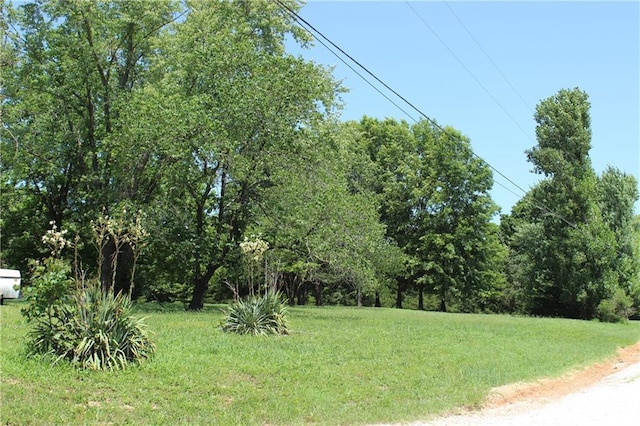 22219 County Road 253rd Rd, Wheatland, MO 65779 - photo 23