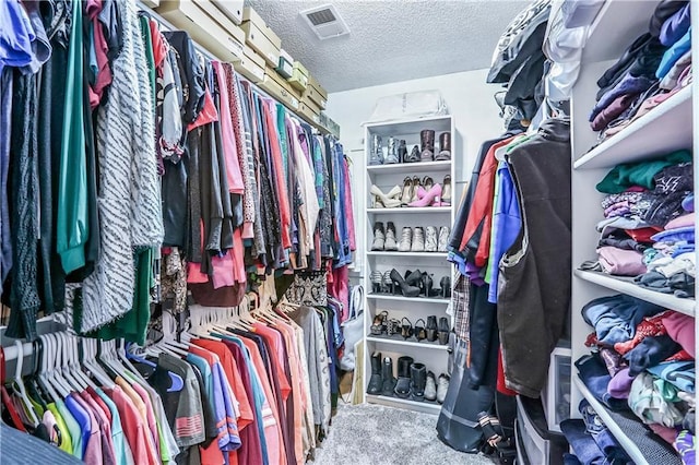 1641 N Hunter Dr, Olathe, KS 66061 - walk in closet with carpet