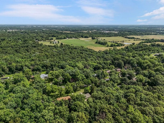 118 SE 215th Rd, Warrensburg, MO 64093 - bird's eye view of a heavily wooded area