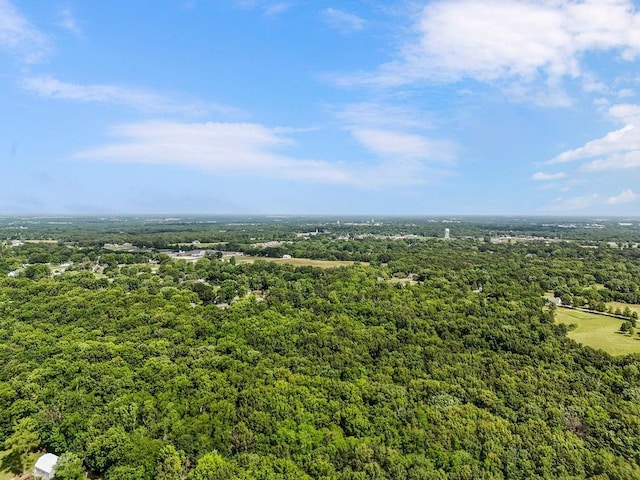 118 SE 215th Rd, Warrensburg, MO 64093 - aerial view of a forest