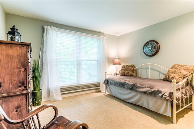 8404 Rosehill Rd, Lenexa, KS 66215 - bedroom with carpet