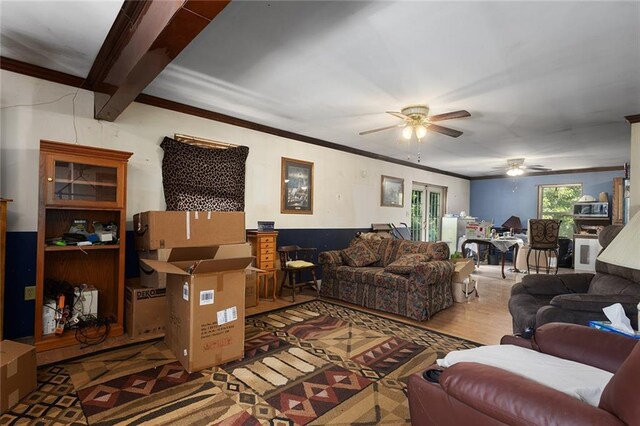 13777 Bohrer Ln, Rayville, MO 64084 - photo 19