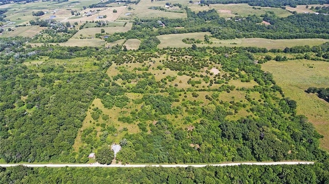 13777 Bohrer Ln, Rayville, MO 64084 - photo 40